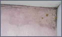 Miami Beach Restoration Company Miami Beach, FL 786-322-1044 - water-damage-sidebar