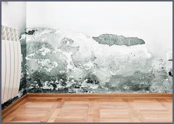 Miami Beach Restoration Company Miami Beach, FL 786-322-1044 - water-leaks-side